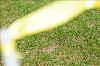 UKPA NC SAT_2677